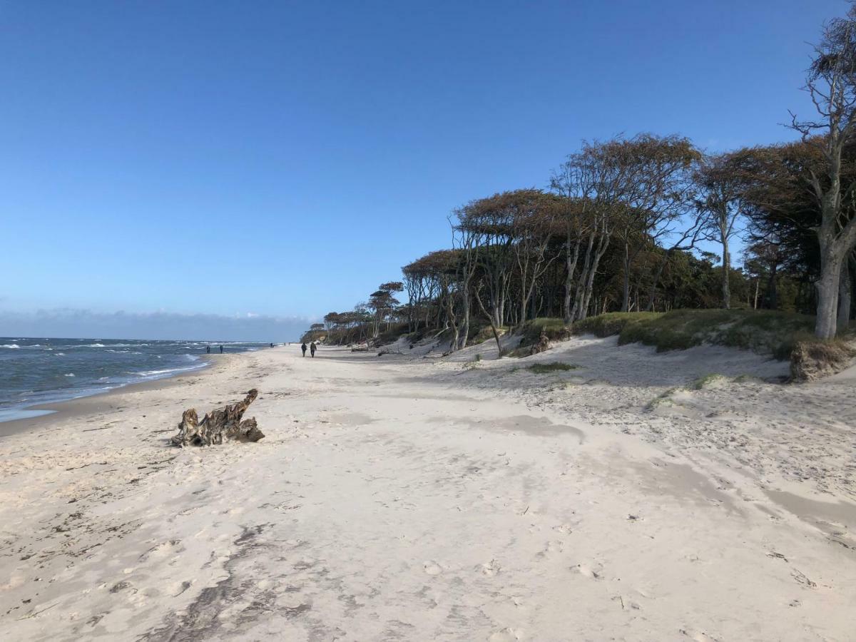 Prerow „Seaside“-Strandnah! 外观 照片